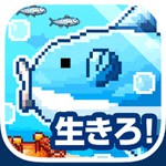 生きろ!マンボウ!