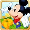 マジックキャッスルドリームアイランド