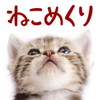 ねこめくりアイコン