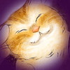 猫の恋