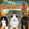 猫だらけの町