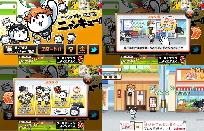 にゃんこバレー部奮闘記
