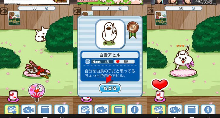 ネコがきた