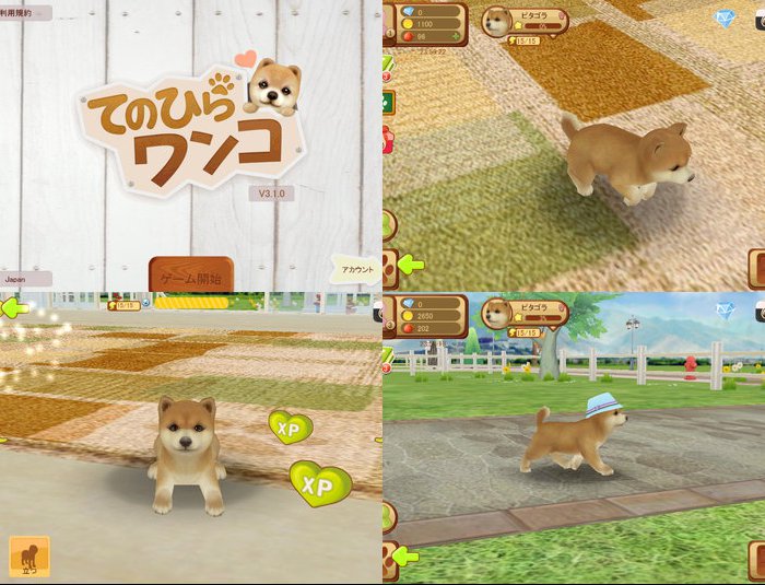 てのひらワンコ