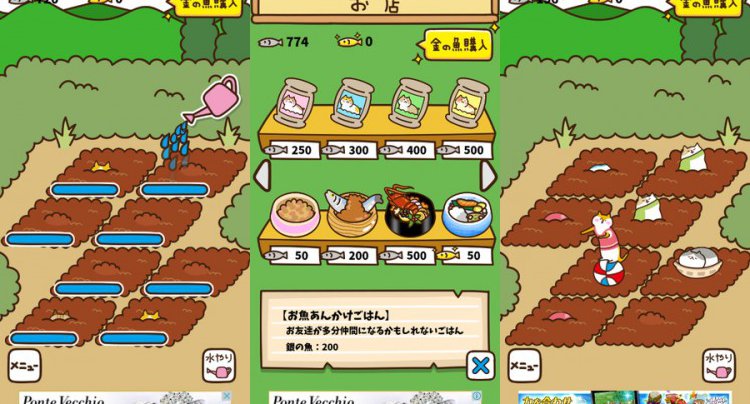 ねこ畑