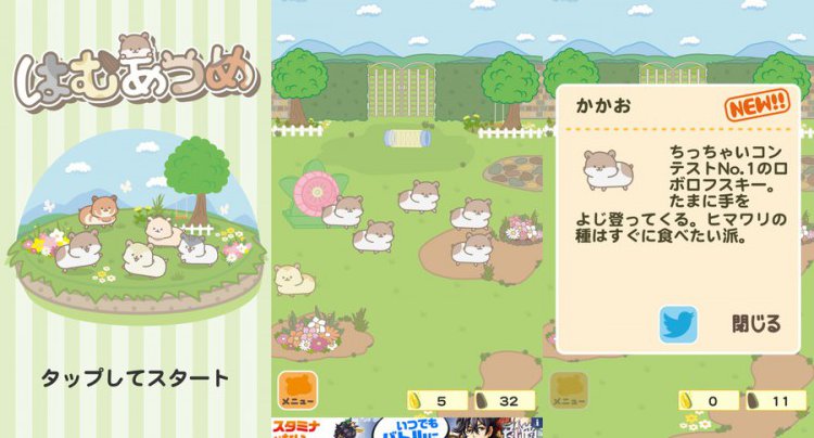 はむあつめ