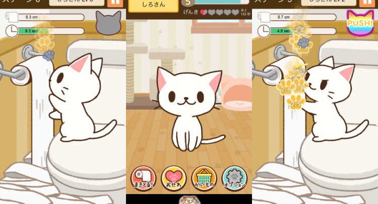 まき猫プロジェクト