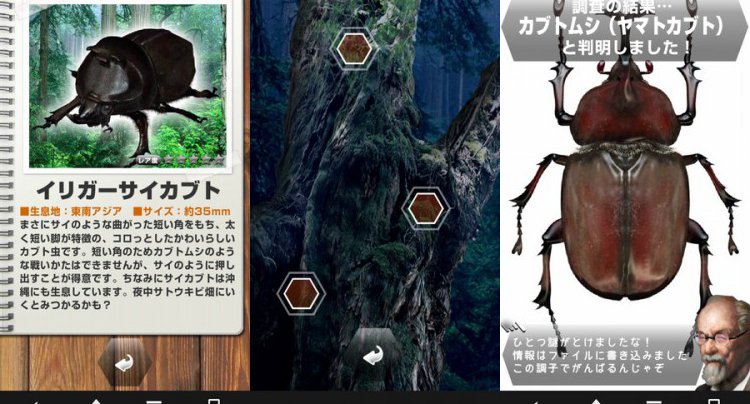世界の昆虫採集