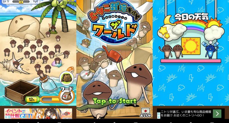 なめこ栽培キット ザ・ワールド