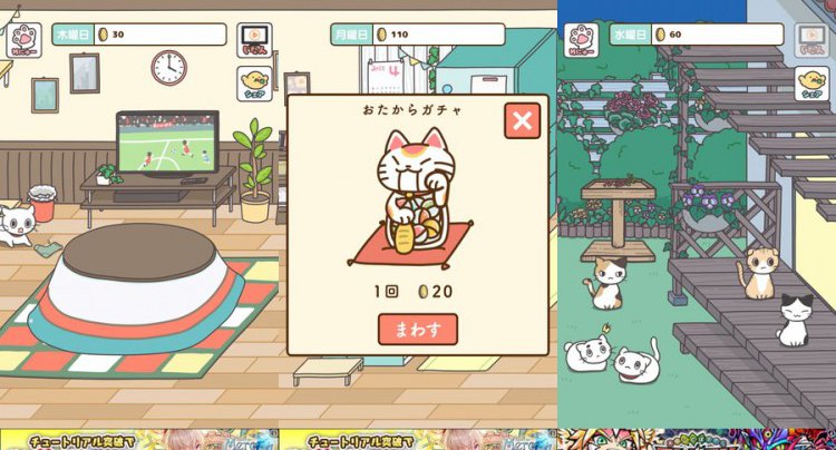 飼い猫ぐらし