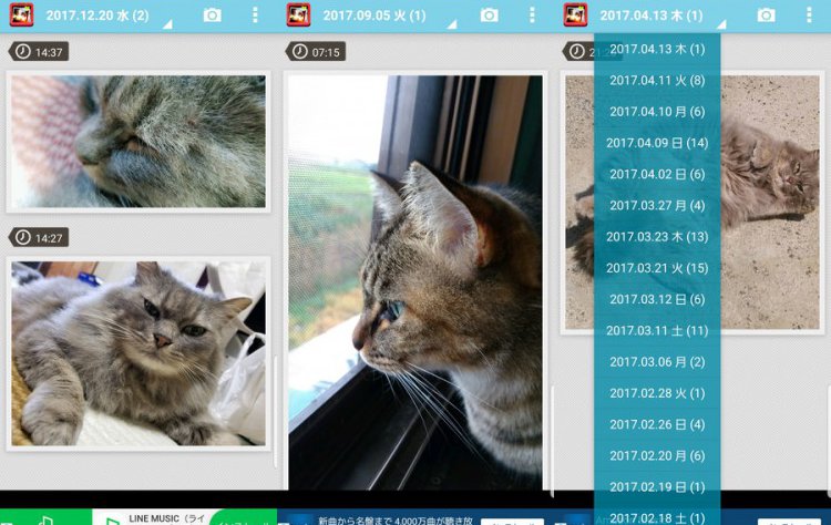 Easy写真アルバム