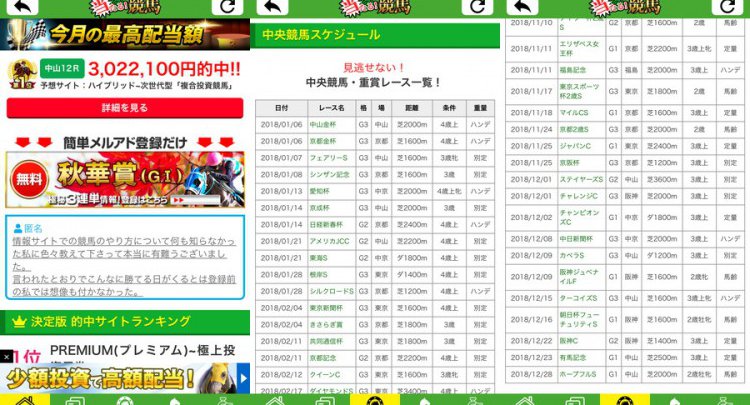 初心者でも当たる!競馬!